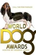 Watch The World Dog Awards Megavideo