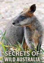 Watch Secrets of Wild Australia Megavideo