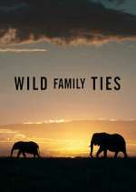 Watch Wild Family Ties Megavideo
