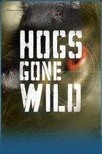 Watch Hogs Gone Wild Megavideo
