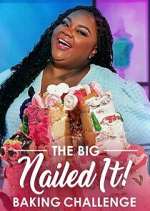 Watch The Big Nailed It! Baking Challenge Megavideo