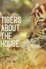 Watch Tigers About the House Megavideo