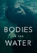 Watch Bodies in the Water Megavideo