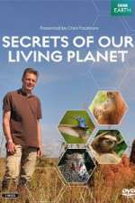 Watch Secrets of Our Living Planet Megavideo