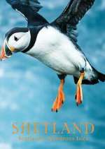 Watch Shetland: Scotland's Wondrous Isles Megavideo