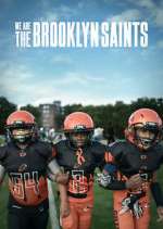 Watch We Are: The Brooklyn Saints Megavideo