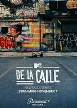 Watch De La Calle Megavideo