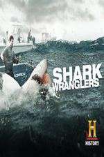 Watch Shark Wranglers Megavideo