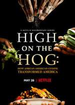 Watch High on the Hog: How African American Cuisine Transformed America Megavideo