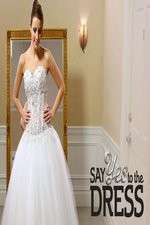 Watch Say Yes to the Dress Megavideo
