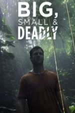 Watch Big, Small & Deadly Megavideo