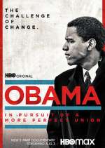 Watch Obama: In Pursuit of a More Perfect Union Megavideo