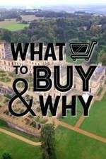 Watch What to Buy & Why Megavideo
