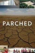 Watch Parched Megavideo