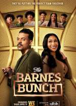 Watch The Barnes Bunch Megavideo
