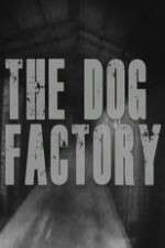 Watch The Dog Factory Megavideo