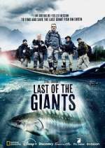Watch Last of the Giants: Wild Fish Megavideo