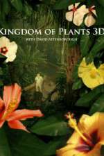 Watch Kingdom of Plants 3D Megavideo