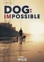 Watch Dog: Impossible Megavideo