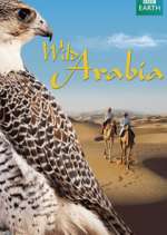 Watch Wild Arabia Megavideo