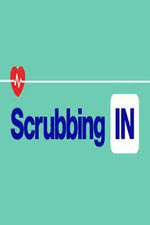 Watch Scrubbing In Megavideo