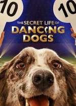 Watch The Secret Life of Dancing Dogs Megavideo