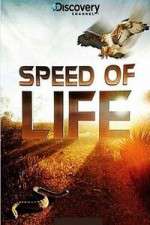 Watch Discovery Channel Speed Of Life Megavideo