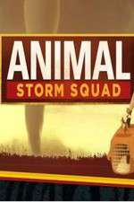 Watch Animal Storm Squad Megavideo
