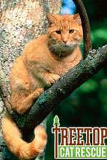 Watch Treetop Cat Rescue Megavideo