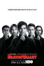 Watch Silicon Valley Megavideo