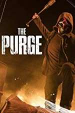 Watch The Purge Megavideo