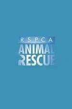Watch RSPCA Animal Rescue Megavideo