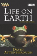 Watch Life on Earth Megavideo