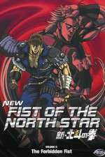 Watch New Fist of the North Star Megavideo
