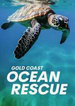 Watch Gold Coast Ocean Rescue Megavideo