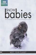 Watch Snow Babies Megavideo