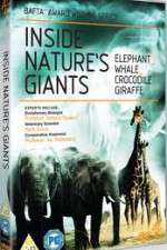 Watch Inside Nature's Giants Megavideo