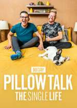 Watch 90 Day Pillow Talk: The Single Life Megavideo