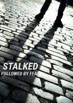 Watch Stalked: Followed by Fear Megavideo