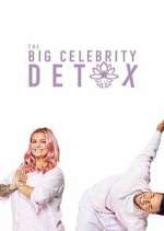 Watch The Big Celebrity Detox Megavideo