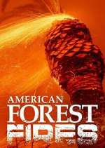 Watch American Forest Fires: The Untold Story Megavideo