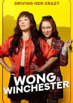 Watch Wong & Winchester Megavideo