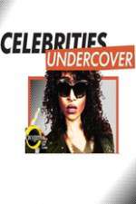 Watch Celebrities Undercover Megavideo