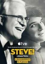 Watch STEVE! (martin) a documentary in 2 pieces Megavideo