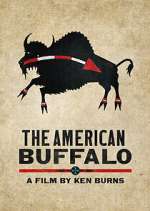 Watch The American Buffalo Megavideo