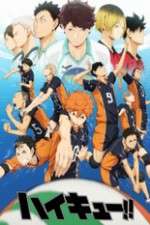 Watch Haikyuu!! Megavideo