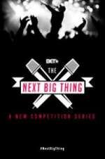 Watch The Next Big Thing Megavideo