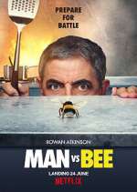 Watch Man Vs Bee Megavideo