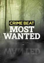 Watch Crime Beat: Most Wanted Megavideo