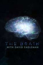 Watch The Brain with Dr David Eagleman Megavideo